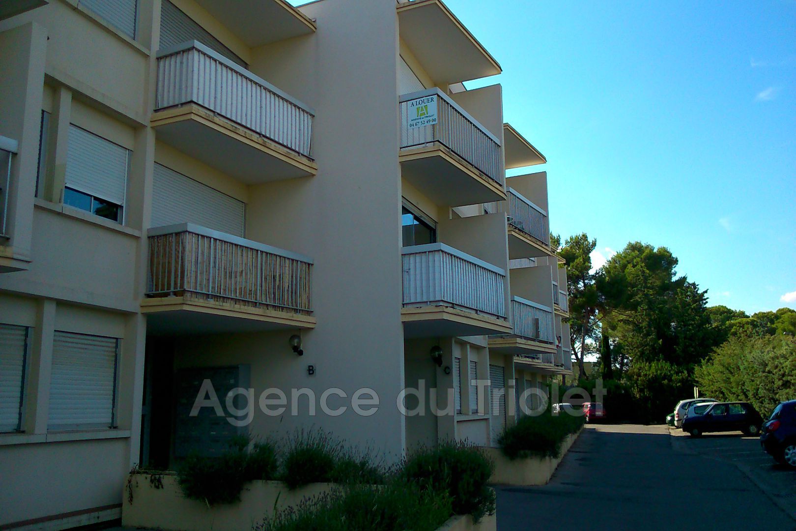 Agence immobilière de AGENCE DU TRIOLET