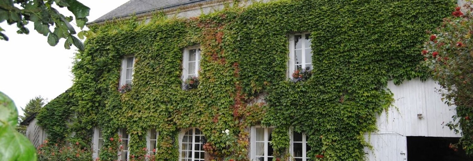 Maison 9 Pièces 238 m² à vendre à Sougé-le-Ganelon (72130)