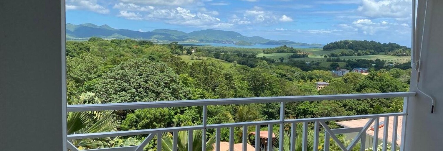 Appartement 3 Pièces 77 m² à vendre à Ducos (97224)