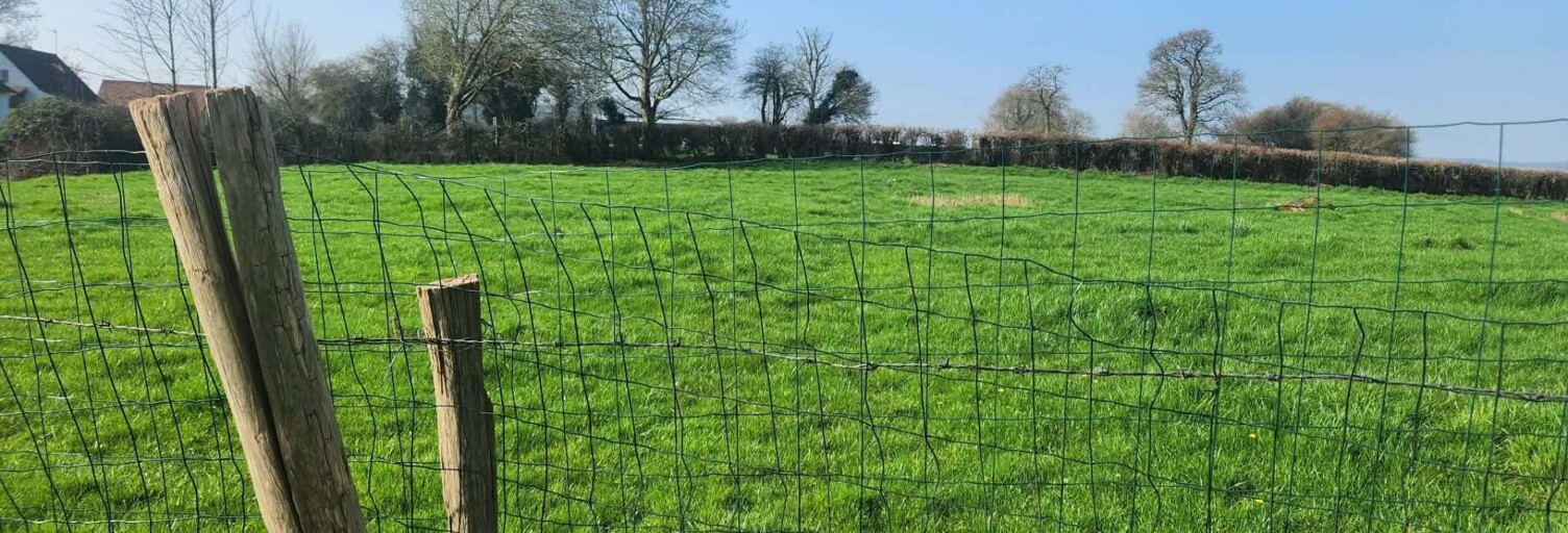 Terrain  1037 m² à vendre à Nielles-lès-Bléquin (62380)