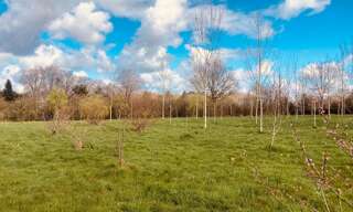 Terrain  5720 m² à vendre à Grosbreuil (85440)