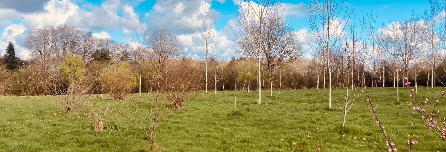 Terrain  5720 m² à vendre à Grosbreuil (85440)