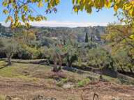 Roquefort-les-Pins : Terrain coup de cœur 1788 m² PC accordé — photo 2