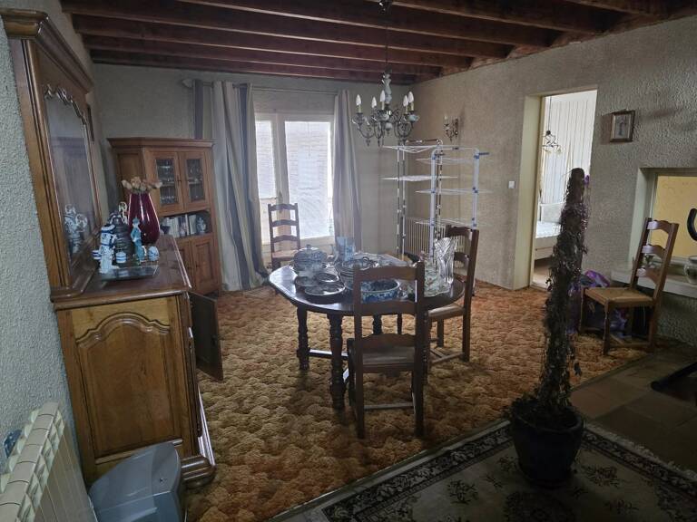GRANDE MAISON LUMINEUSE — photo 1