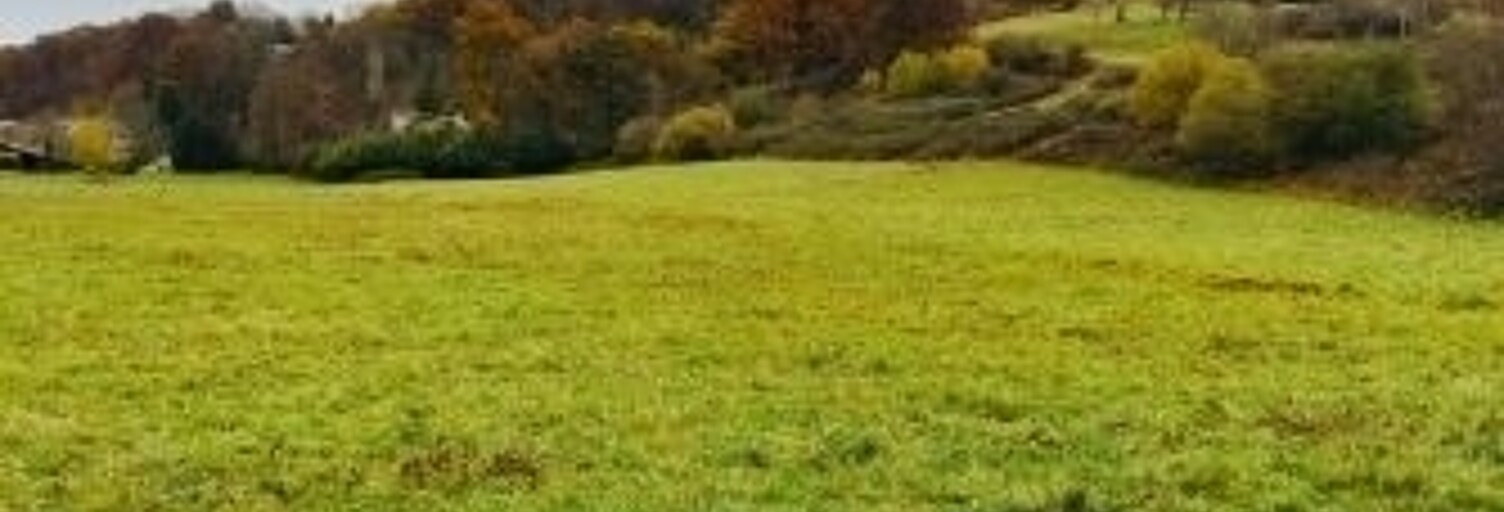 Terrain  9838 m² à vendre à Bagnères-de-Bigorre (65200)