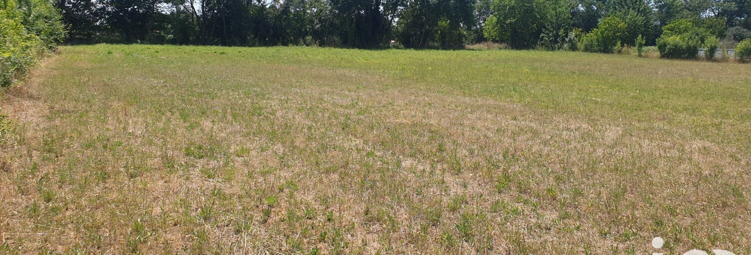 Terrain  5685 m² à vendre à Vallans (79270)