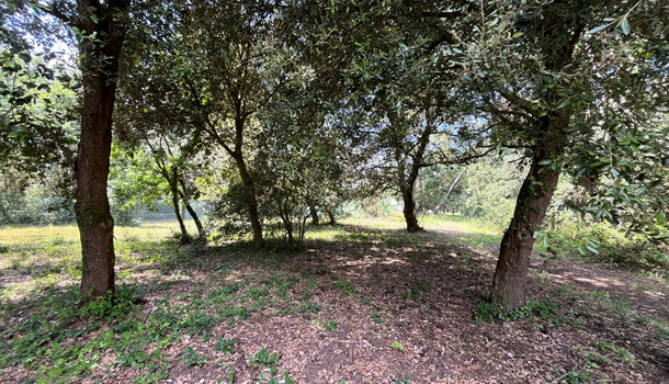 Terrain  à vendre Grand-Village-Plage (Le) 17370