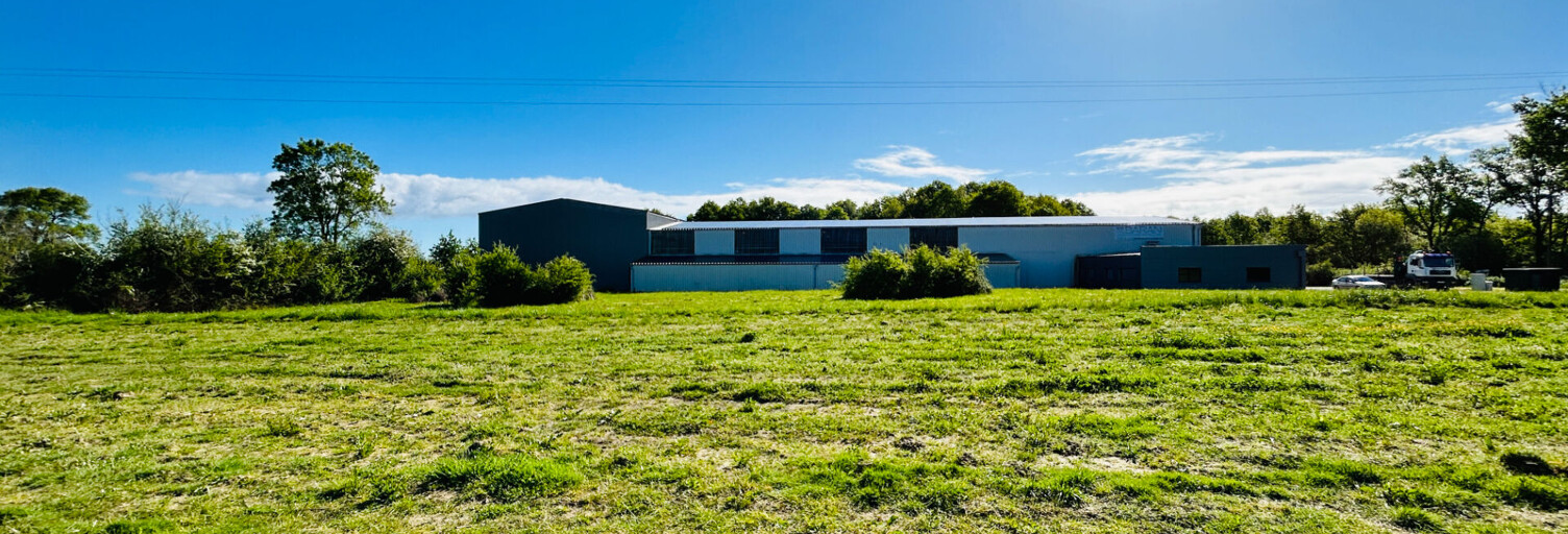 Terrain  1150 m² à vendre à Blaye (33390)