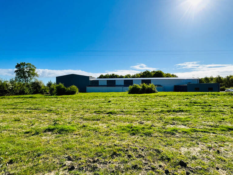 TERRAIN À BÂTIR A VENDRE - SECTEUR BLAYE — photo 1