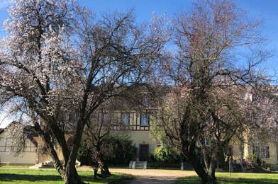 Appartement 3 pièces 1400 €