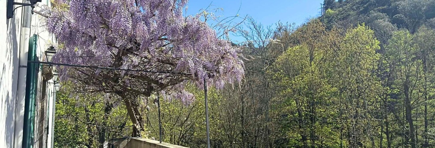 Maison 12 Pièces 341 m² à vendre à Prades (07380)
