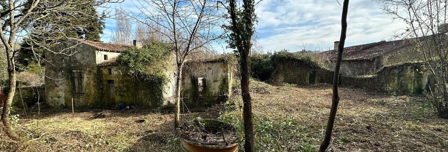 Maison 7 Pièces 222 m² à vendre à Saint-Sauvant (17610)