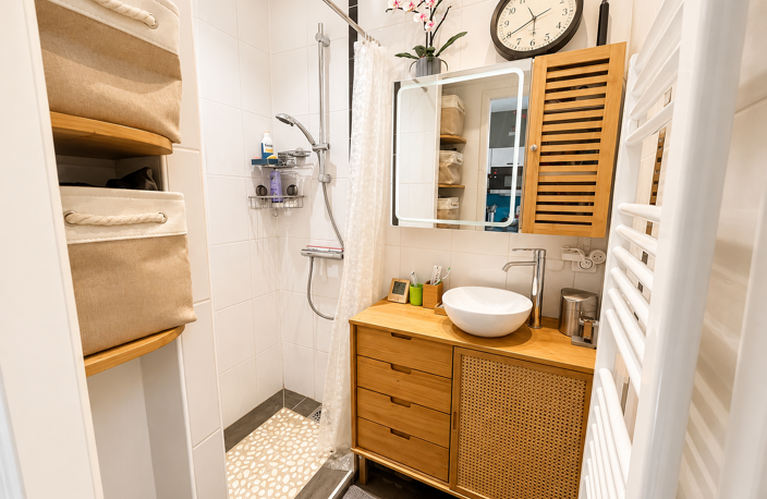 VENTE 69130 ECULLY Appartement duplex 44 m2  dans MAISON DE VILLE — photo 3