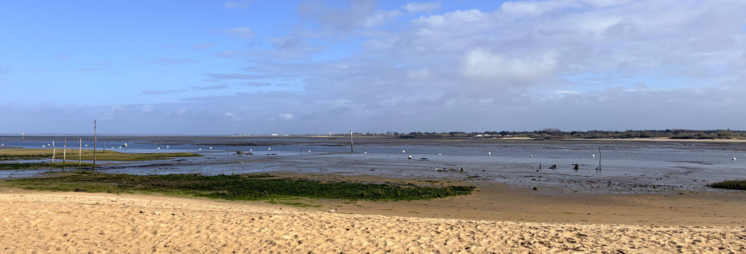 Appartement 4 Pièces 73 m² à vendre à Arcachon (33120)