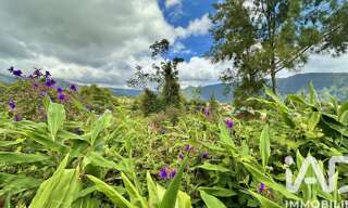 Terrain  1090 m² à vendre à La Plaine-des-Palmistes (97431)