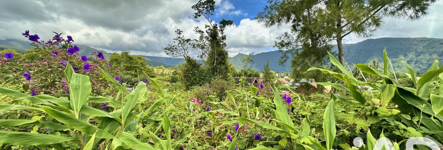 Terrain  1090 m² à vendre à La Plaine-des-Palmistes (97431)