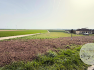 Beau terrain constructible 1 614 m2 allant jusqu'à 5 878 m2 — photo 4