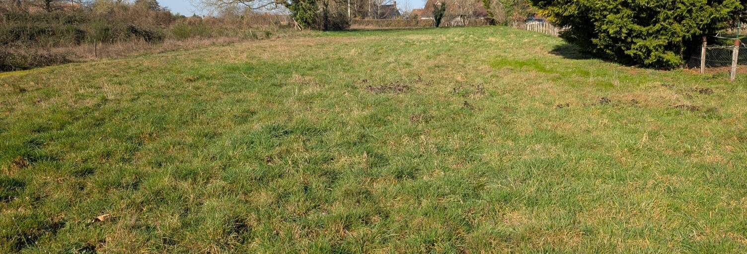 Terrain  1847 m² à vendre à Châteaumeillant (18370)