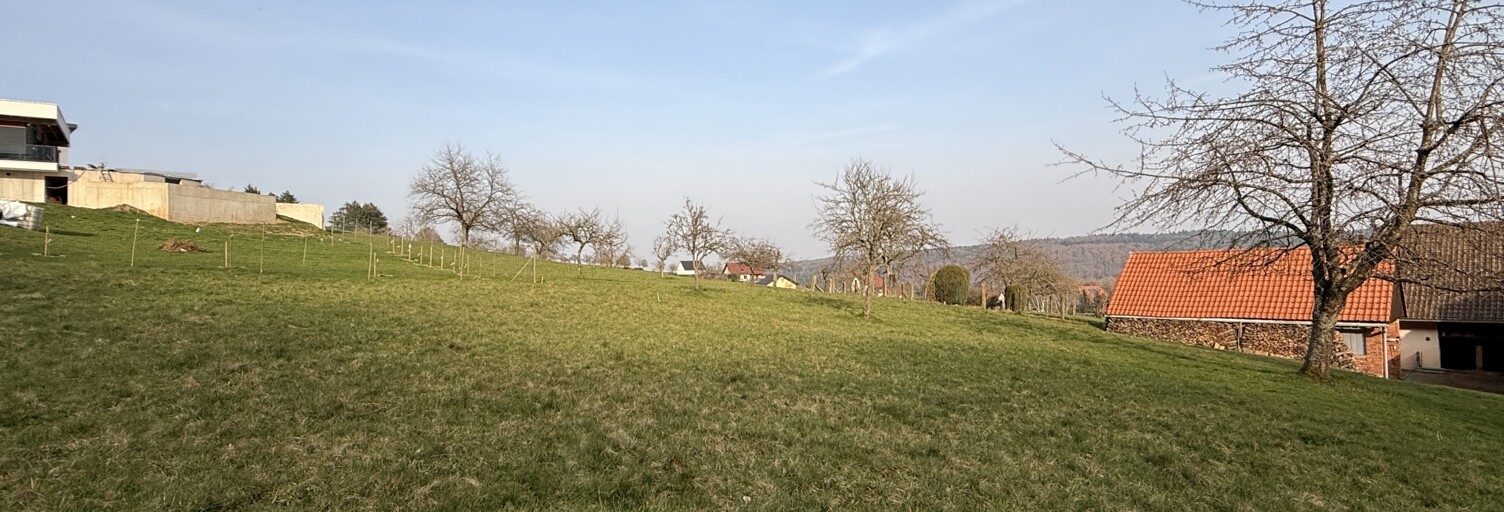 Terrain  726 m² à vendre à Reinhardsmunster (67440)