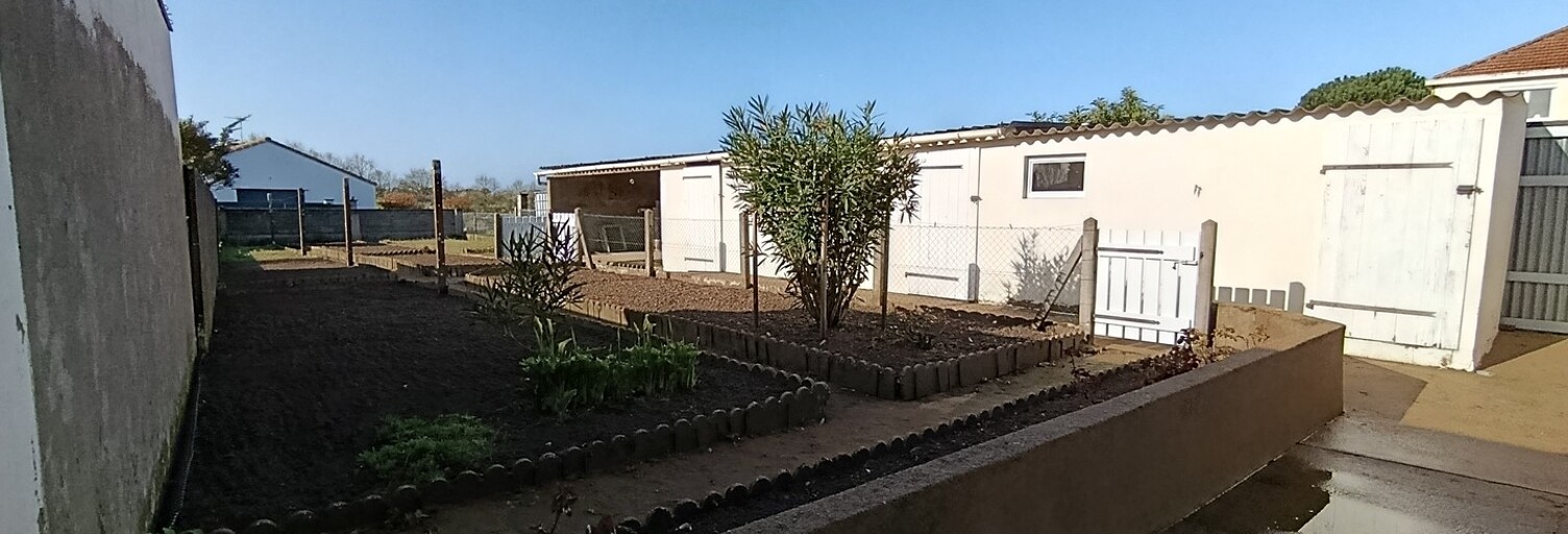 Photo N° 2