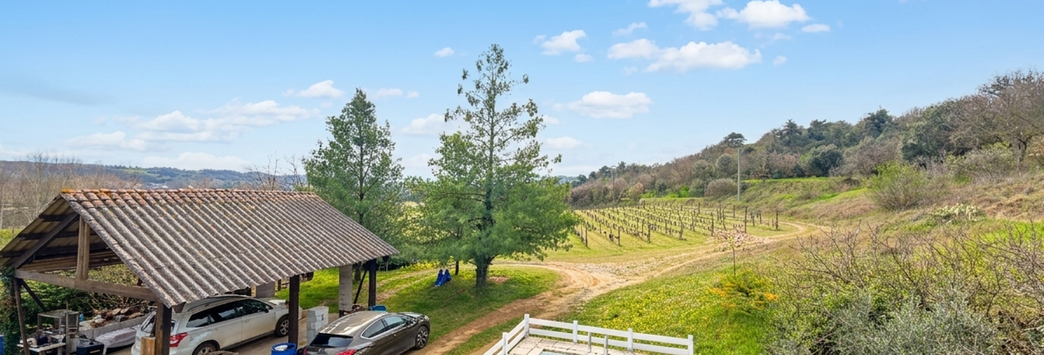 Maison 267 m² en viager Clérieux (26260)
