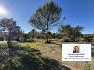 Terrain constructible en lotissement à Fox-Amphoux 1000.66m2 — photo 4