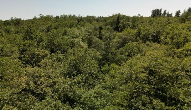 Terrain  à vendre Labeaume 07120