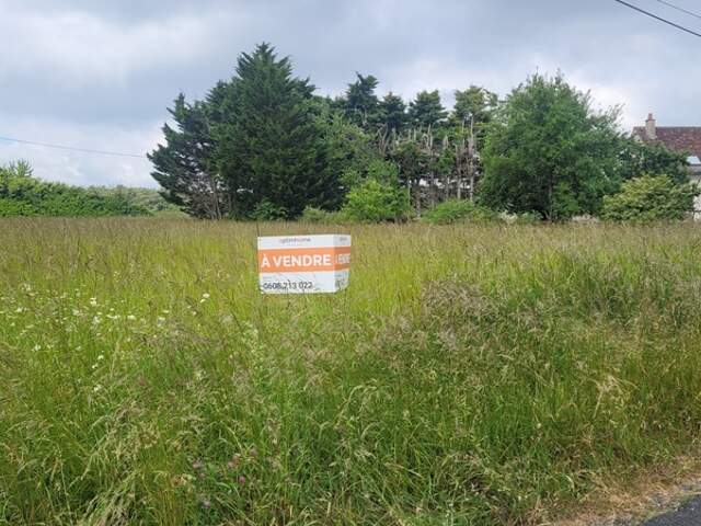 Draché proche de l'axe Ste Maure - Châtellerault, beau terrain de 1560 m² constructibles - Réseaux en limite de propriété — photo du bien
