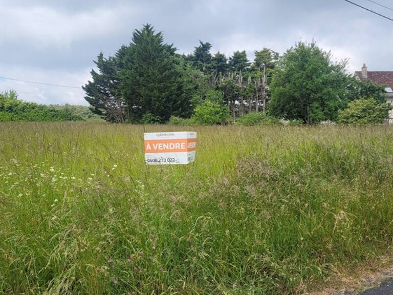 Draché proche de l'axe Ste Maure - Châtellerault, beau terrain de 1560 m² constructibles - Réseaux en limite de propriété — photo 1