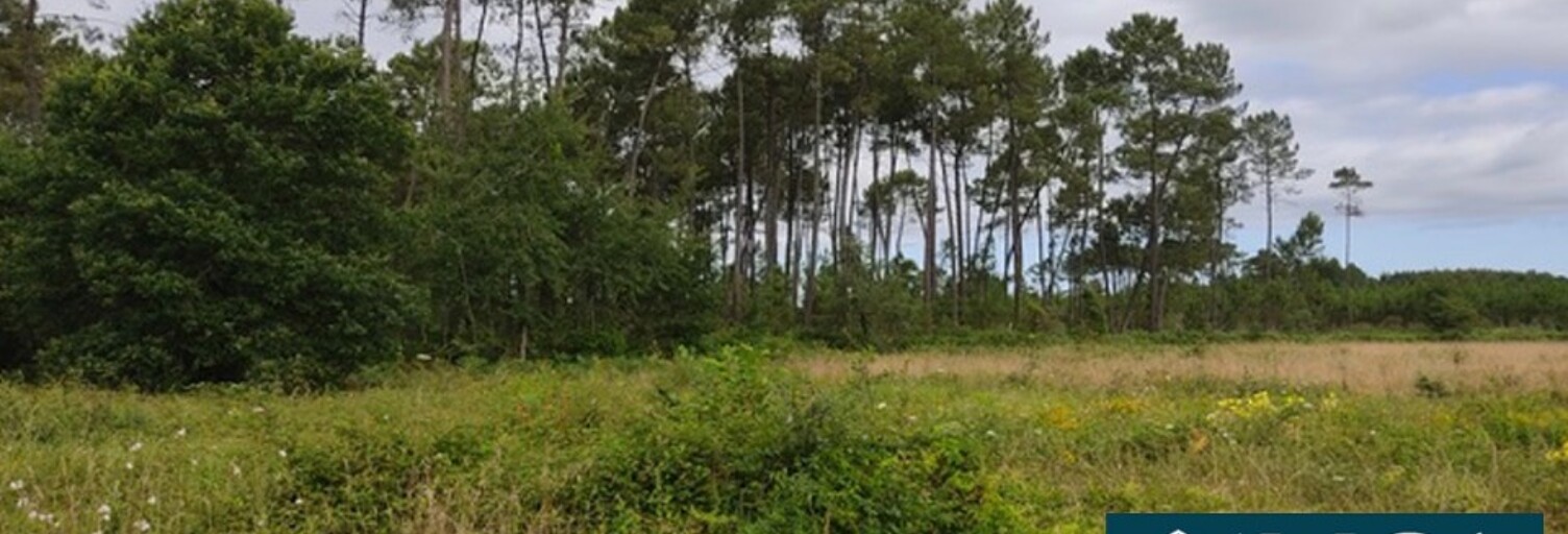 Terrain  675 m² à vendre à Saint-Yaguen (40400)