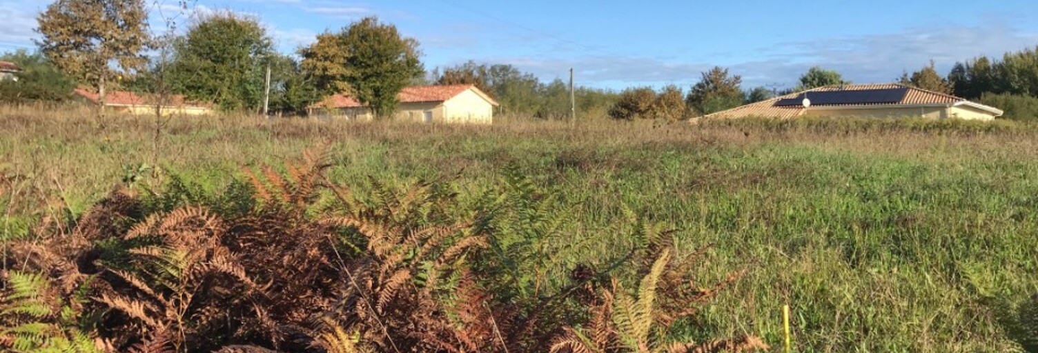 Terrain  1633 m² à vendre à Betbezer-d'Armagnac (40240)