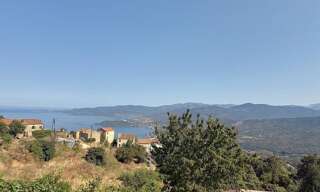 Maison 5 Pièces 300 m² à vendre à Calcatoggio (20111)