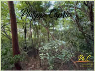 Terrain 2 255 m²  à vendre  LE FRANCOIS (972) — photo 2