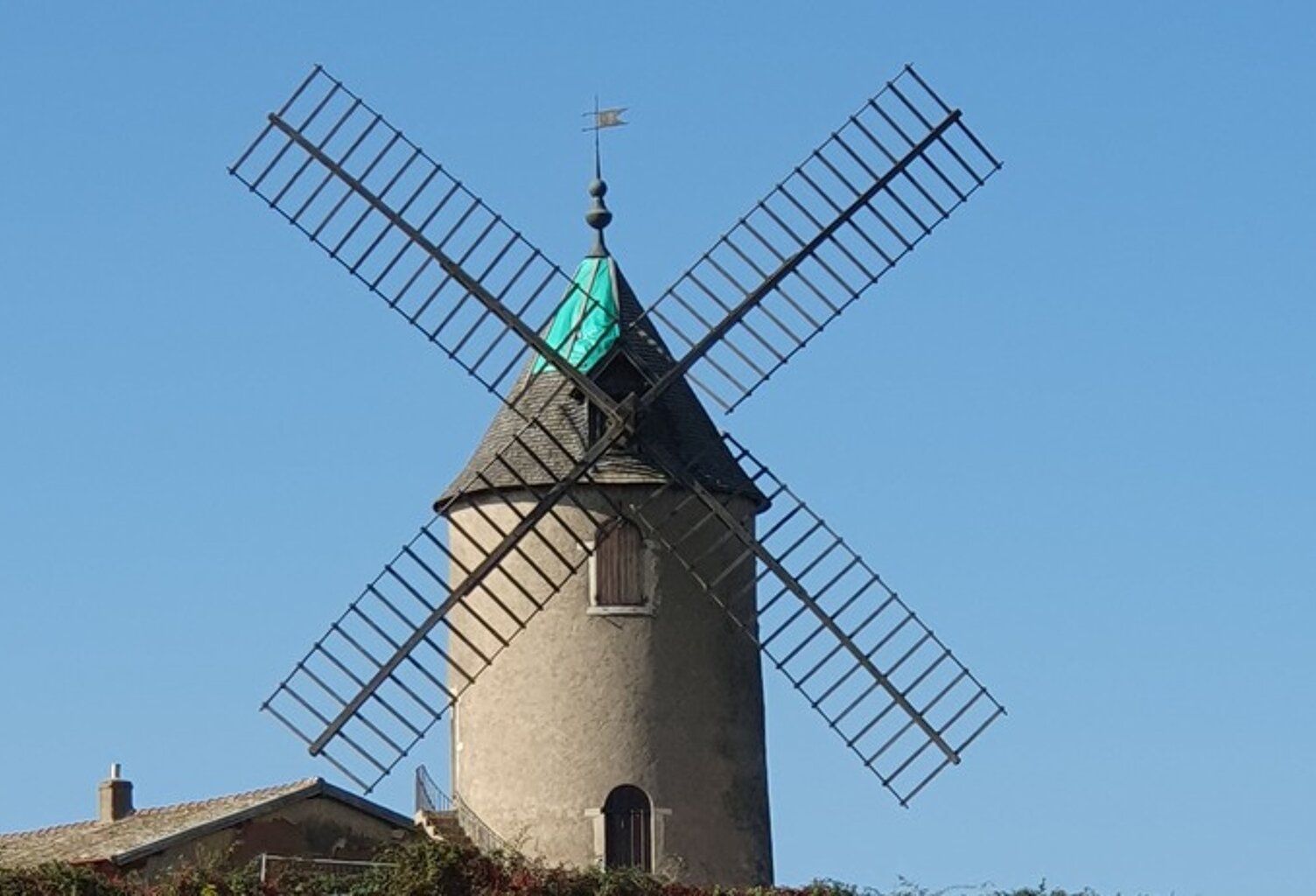 A vendre vignes AOC Moulin à Vent — photo 1