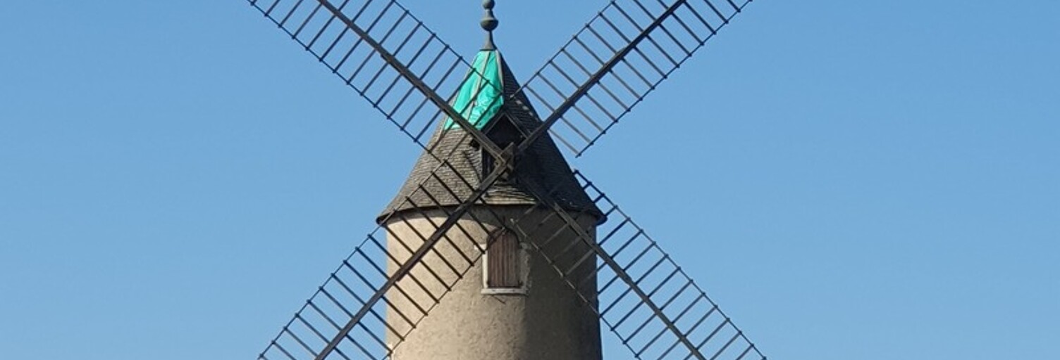 Maison  3730 m² à vendre à Romanèche-Thorins (71570)