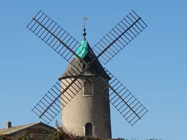 A vendre vignes AOC Moulin à Vent — photo du bien