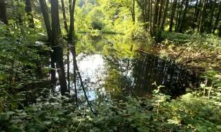 Maison  3045 m² à vendre à Saint-Bresson (70280)