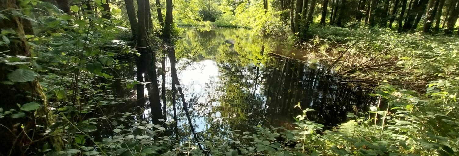 Maison  3045 m² à vendre à Saint-Bresson (70280)