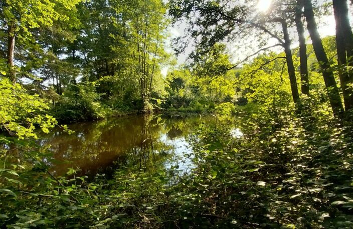 Rare à la vente secteur mille étangs ! Etang avec terrain et cabanon — photo 2