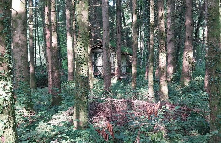 Rare à la vente secteur mille étangs ! Etang avec terrain et cabanon — photo 3
