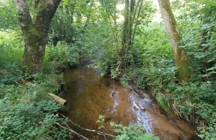 Rare à la vente secteur mille étangs ! Etang avec terrain et cabanon — photo 5