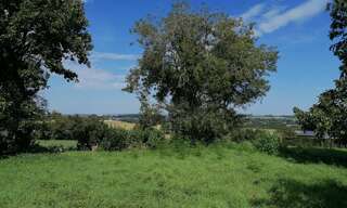 Terrain  800 m² à vendre à Caro (56140)