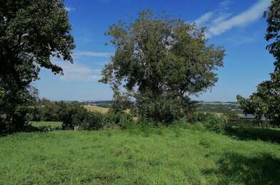 Terrain  23990 €