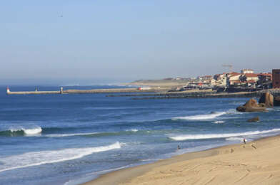 Appartement 1 pièces 249500 €