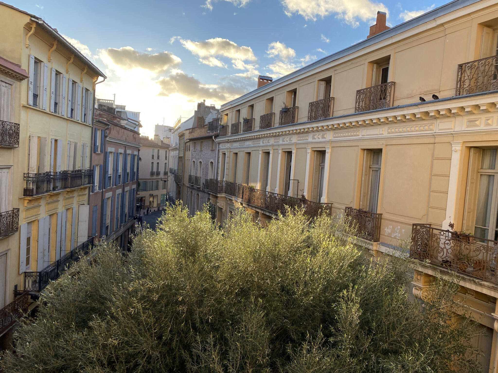 Appartement 2 pièces  à louer Perpignan 66000