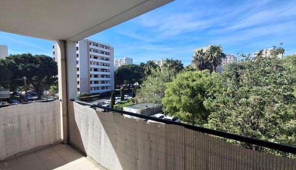 Appartement 2 pièces  à louer Marseille 11eme 13011