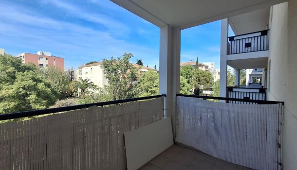 Appartement 2 pièces  à louer Marseille 11eme 13011