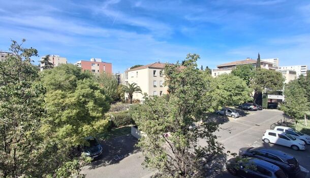 Appartement 2 pièces  à louer Marseille 11eme 13011