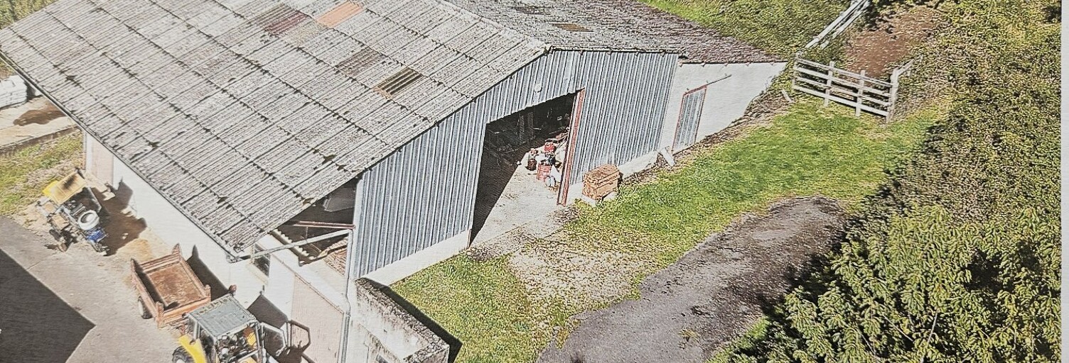 Immeuble  460 m² à vendre à Serrières (71960)