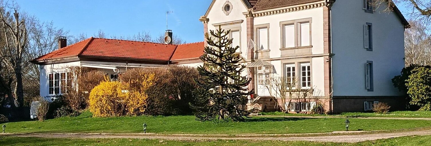 Maison 16 Pièces 761 m² à vendre à Jeanménil (88700)